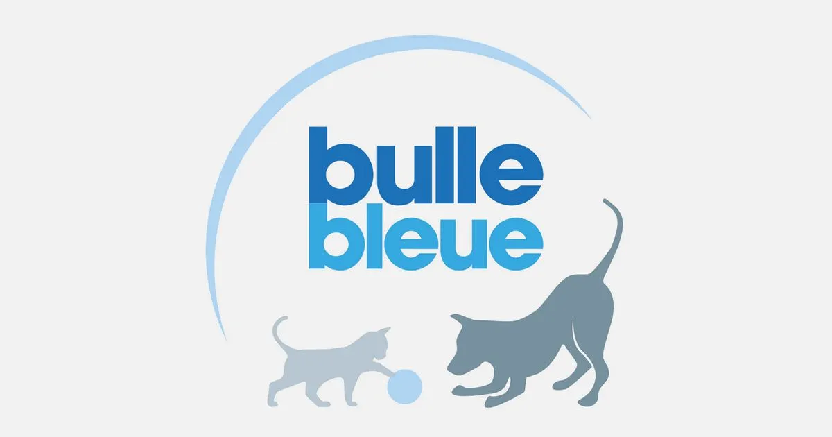 Logo Bulle Bleue