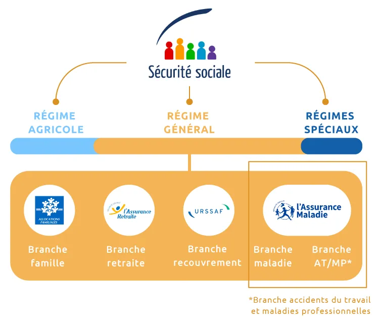 branches sécurité-sociale